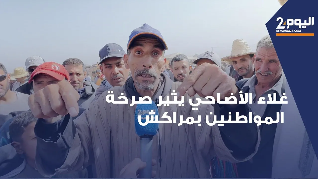 Marrakech Livestock Market: Rising Prices Spark Citizen Outrage Over Sacrificial Animals