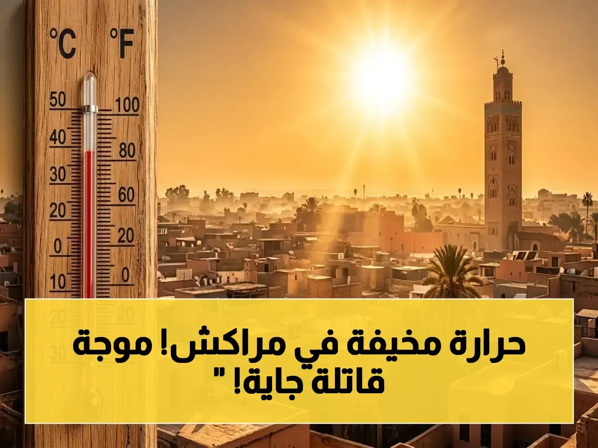 Severe Heatwave Expected in Morocco with Temperatures Soaring up to 42°C