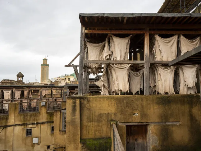 Tragedy Strikes in Fez: Eleven Lives Lost in Building Collapse
