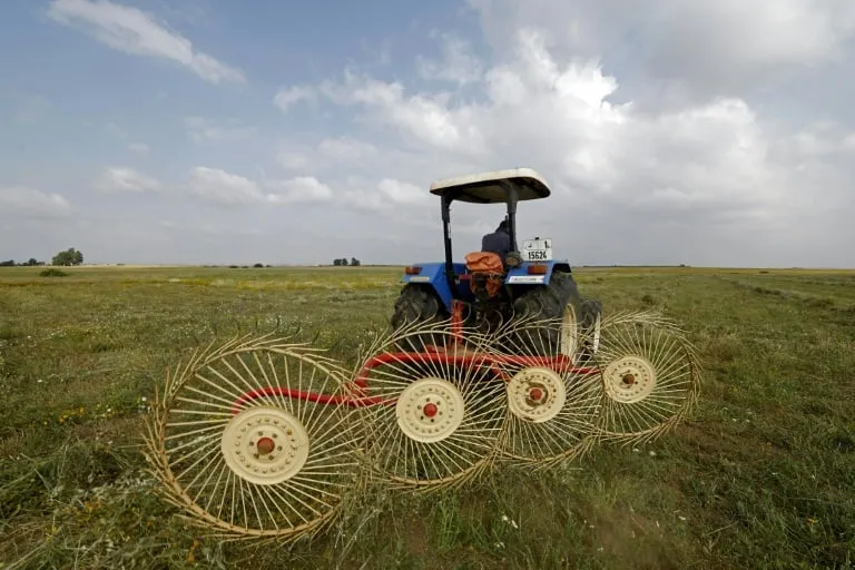 Moroccan Farmers Face Rising Costs Despite Promising Rainfall