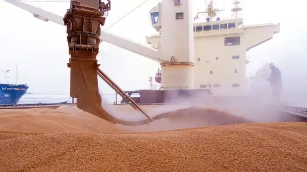 Casablanca Port Faces Unprecedented Saturation Amid Wheat Import Surge