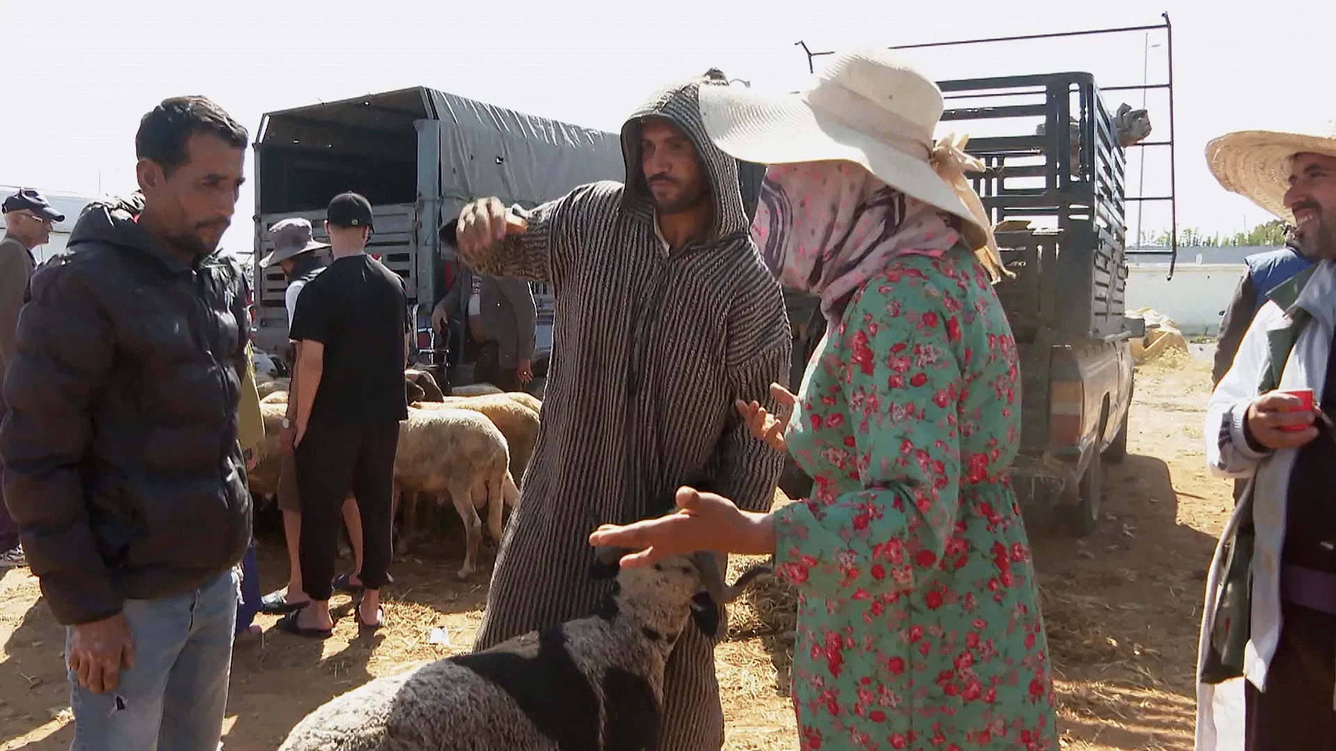 Morocco’s Livestock Market Buzzes Amid Rising Prices Ahead of Eid al-Adha