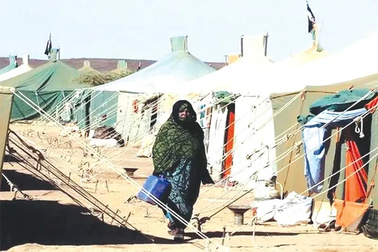 UN Committee Accuses Morocco of Systematic Human Rights Violations Against Sahrawi Detainees