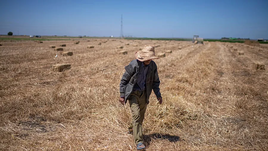 Impact of Middle Eastern Conflict on Moroccan Agriculture