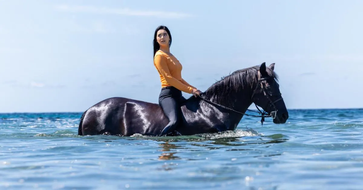 Menorca Horse Week: Elevating the Local Equine Heritage on a Global Stage