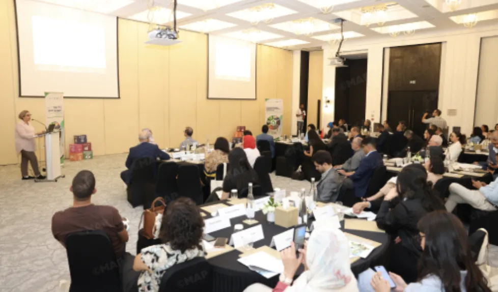 Launch of Project to Eliminate Hazardous Chemicals from Morocco's Construction Supply Chain