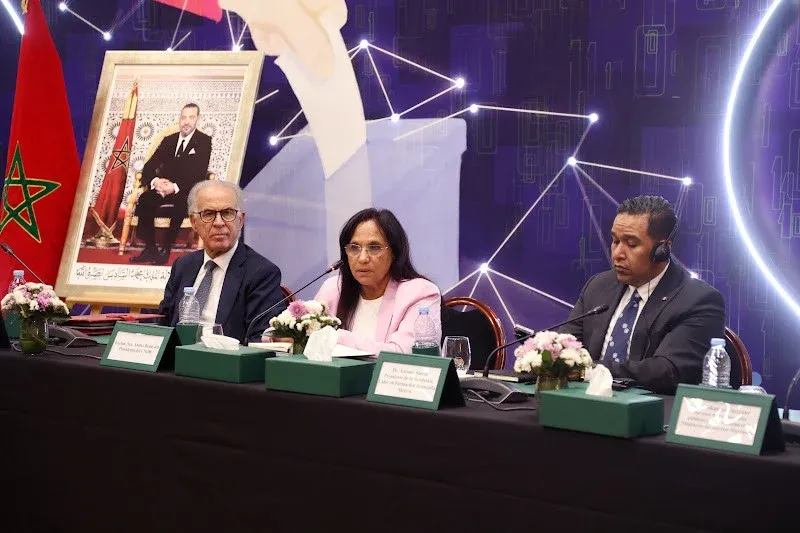 The Importance of Elections as a Fundamental Human Right: Insights from the National Human Rights Council