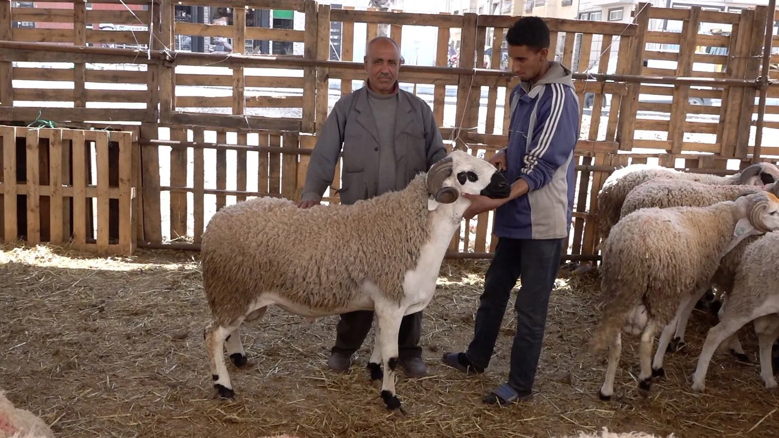 Rising Costs Challenge Families Ahead of Aïd Al-Adha in Morocco