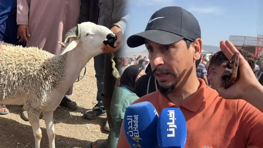 Citizen's Outcry in Fes: Deceived into Buying a 'Crazy' Sheep, Seeks Justice