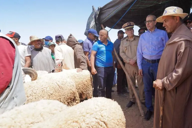 Intensive Preparations Underway for Eid al-Adha in Souss-Massa Region
