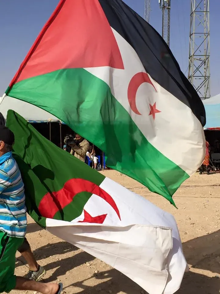 Algeria Advocates Direct Negotiations in Western Sahara Conflict