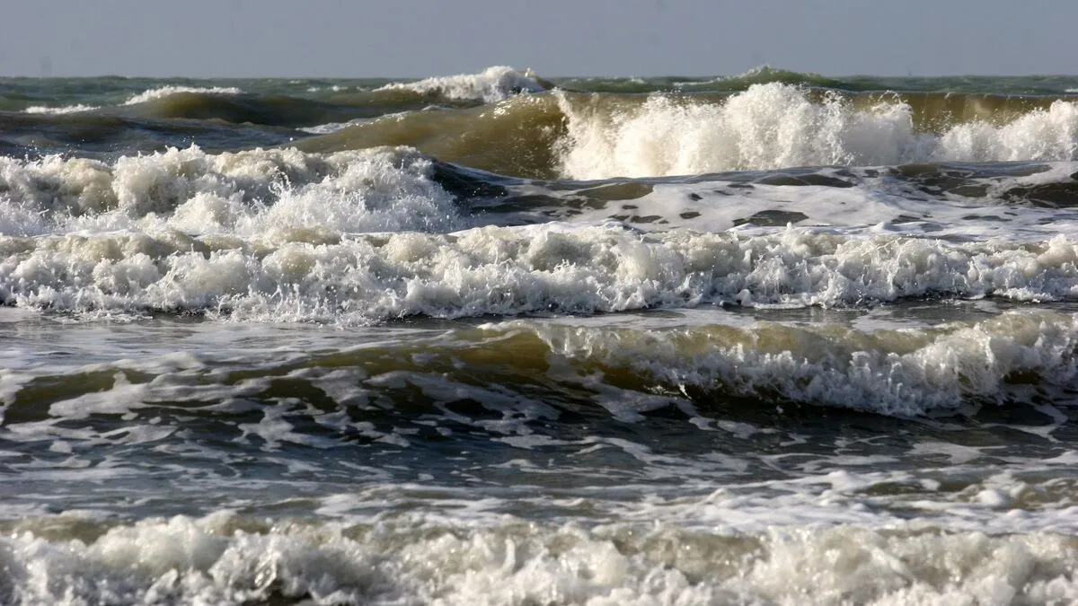 Search Efforts Intensify for Missing French Nationals off the Coast of Tangier
