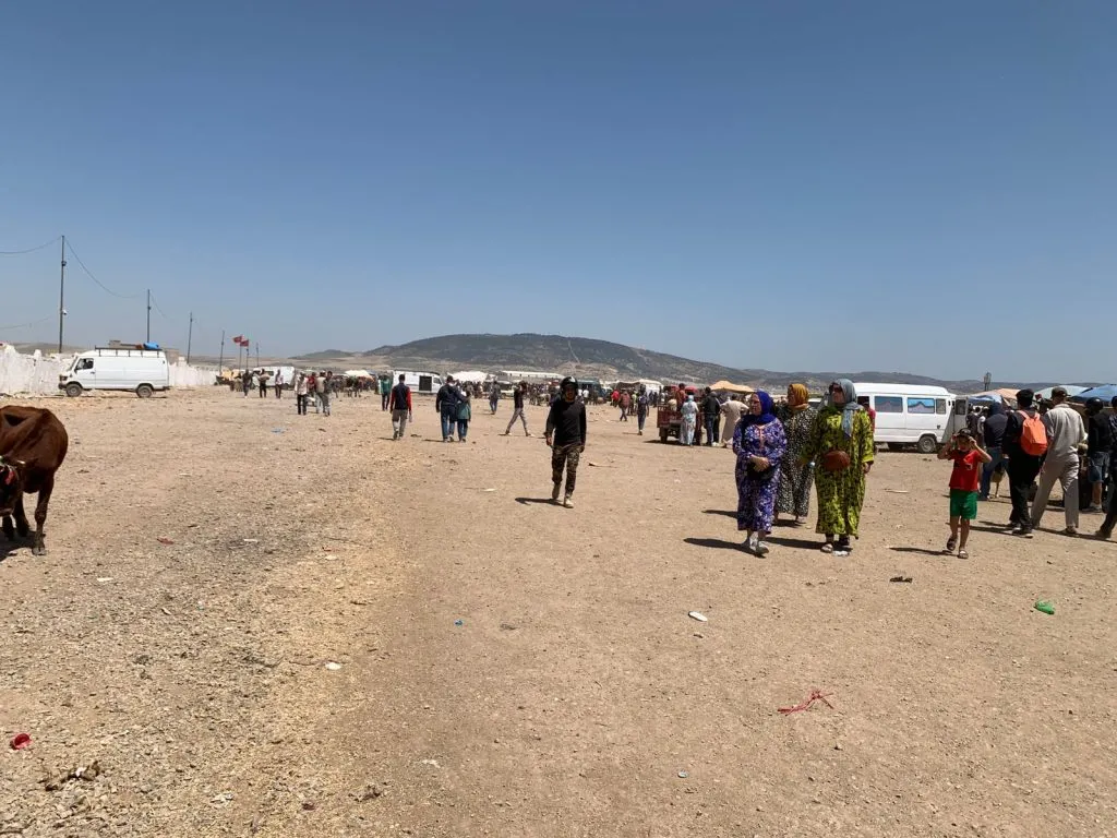 Severe Tensions Rise in Bensouda Market, Fes: Acute Shortage of Sheep and Merchant Panic Ahead of Eid