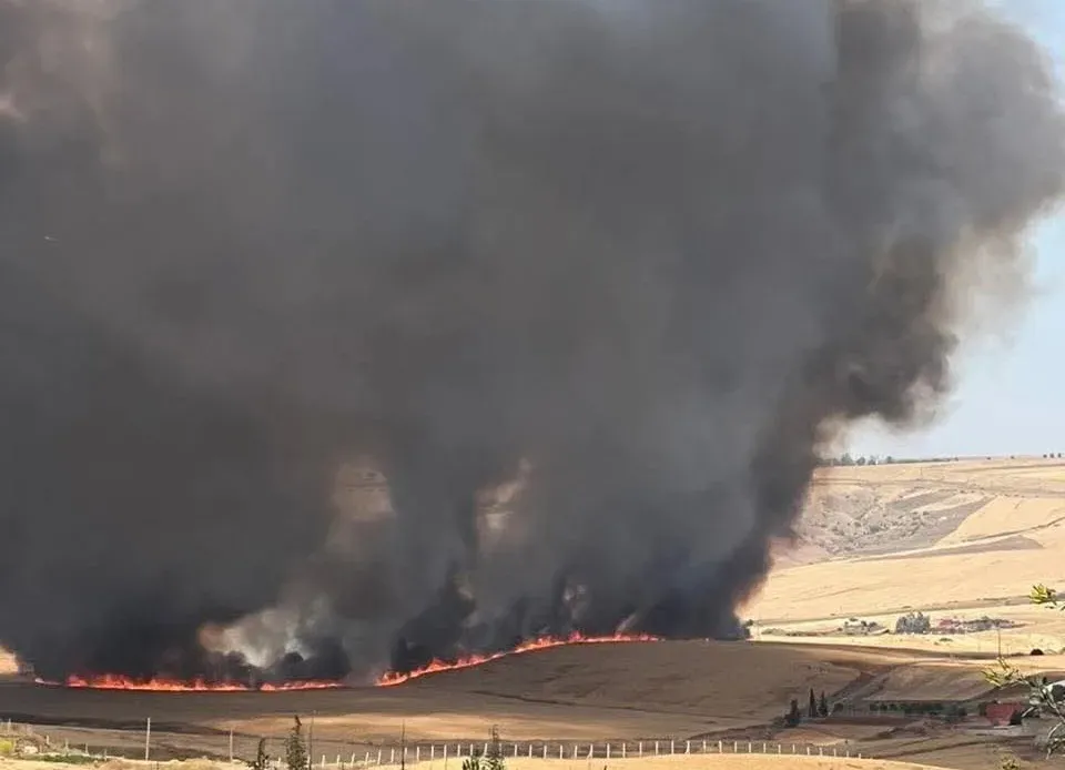 Wildfires Devastate Agricultural Crops in Imouzar Marmoucha