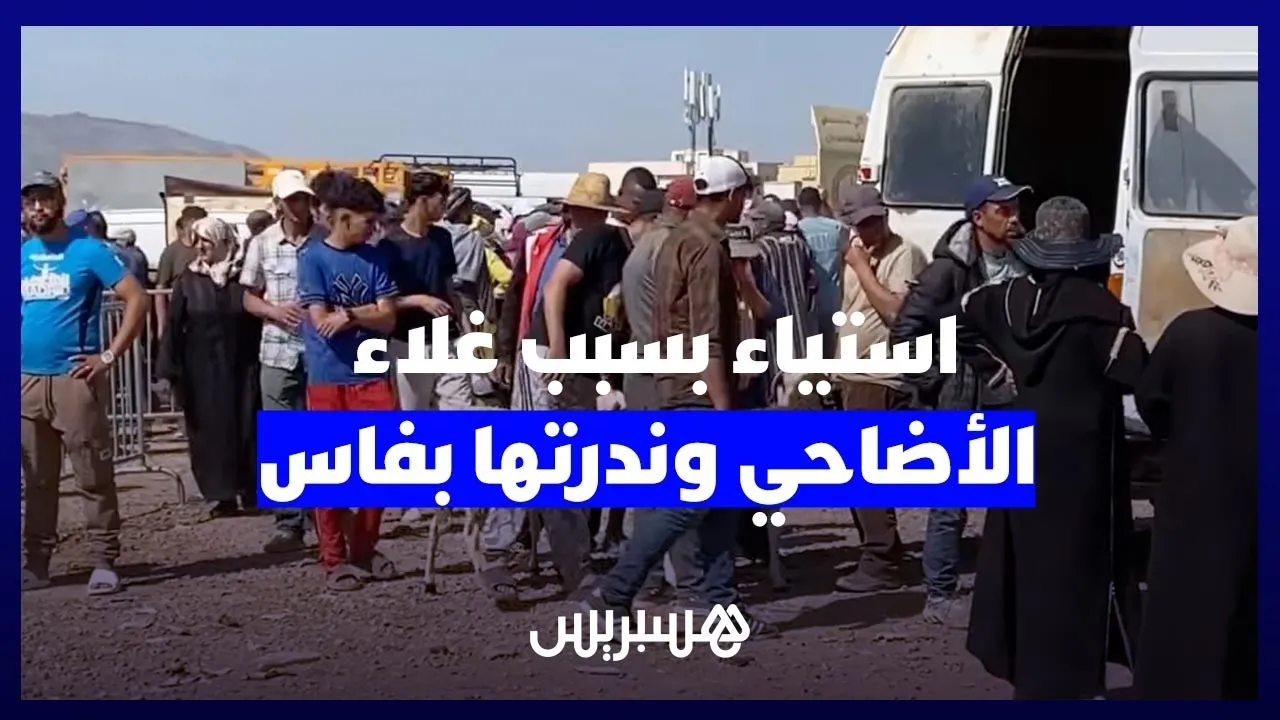 Demand Outstrips Supply: Residents of Fes Frustrated by High Prices and Scarcity of Sacrificial Animals
