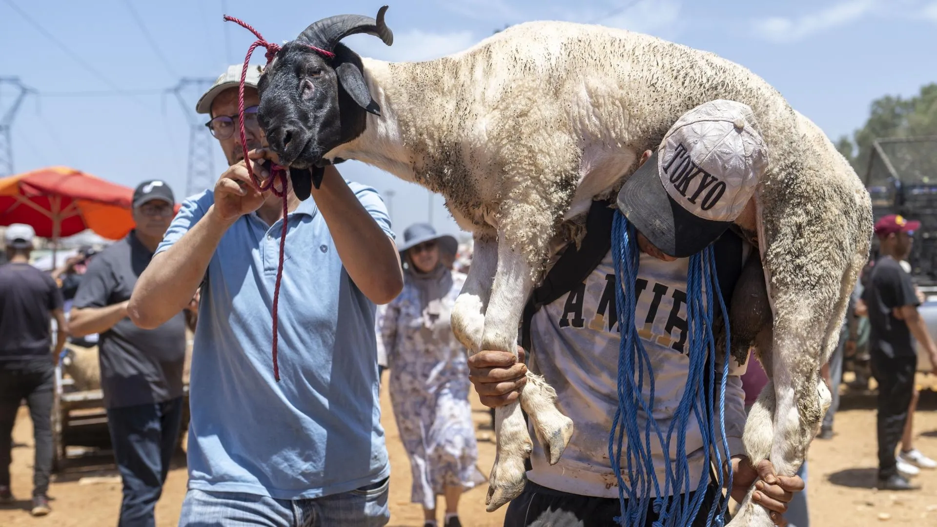 Celebrating Eid al-Adha: A Joyous Return to Tradition in Morocco