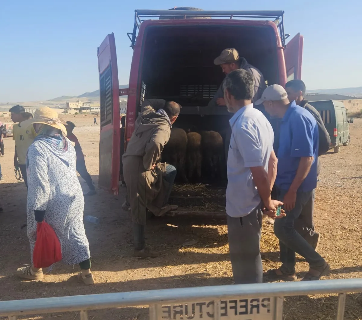 Fes Mayor Discusses Sheep Market Dynamics in Bensouda