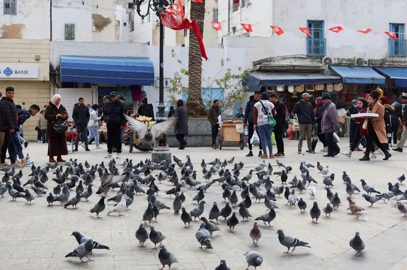 French Study: Declining Fertility Rates in Morocco to Result in Aging Population