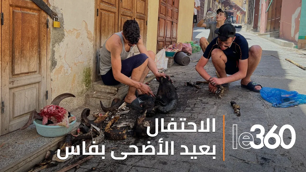 Fes Youth Revive Ancient Tradition of Sheep Head Singeing with Symbolic Pricing