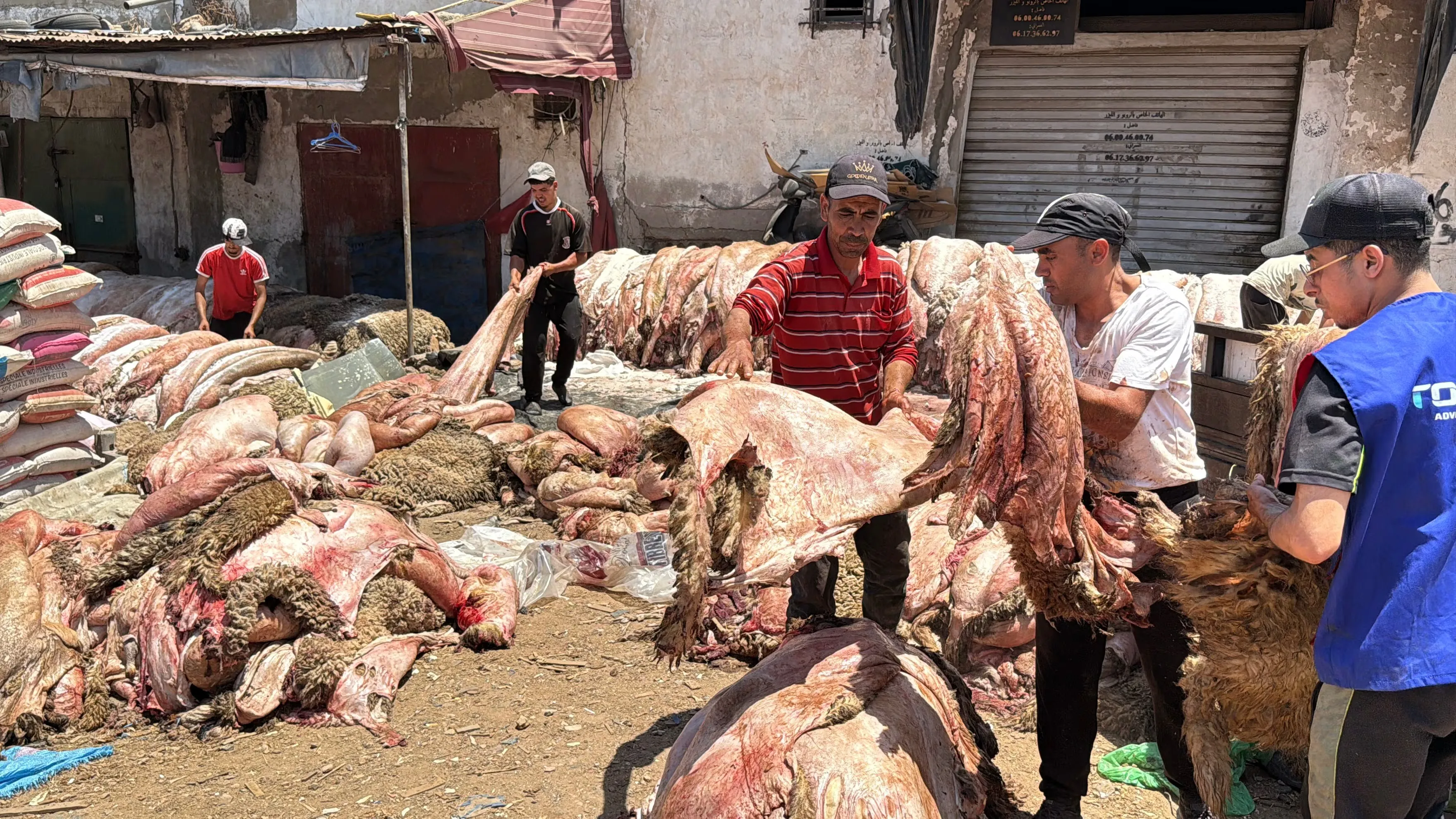 The Struggle of the Traditional Sheep Skin Industry: Quality Concerns and Economic Challenges