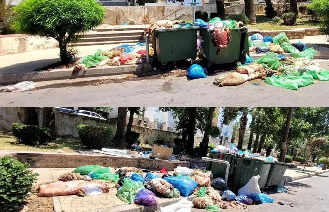 Environmental Crisis in Fes: Streets Overwhelmed by Slaughter Waste