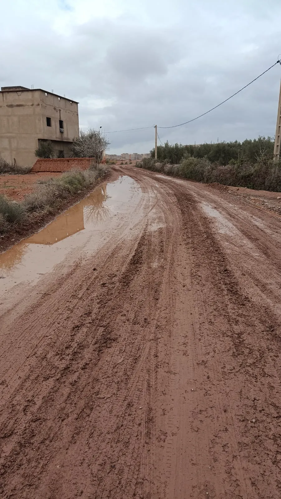 Upcoming Road Project in Marrakech-Safi Region Set to Enhance Local Connectivity
