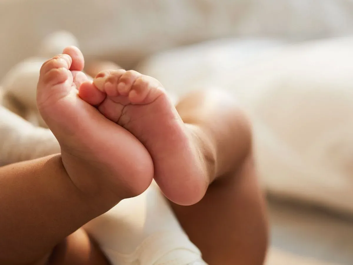 Morocco's Demographic Shift: The Ongoing Fertility Decline with No Rebound in Sight