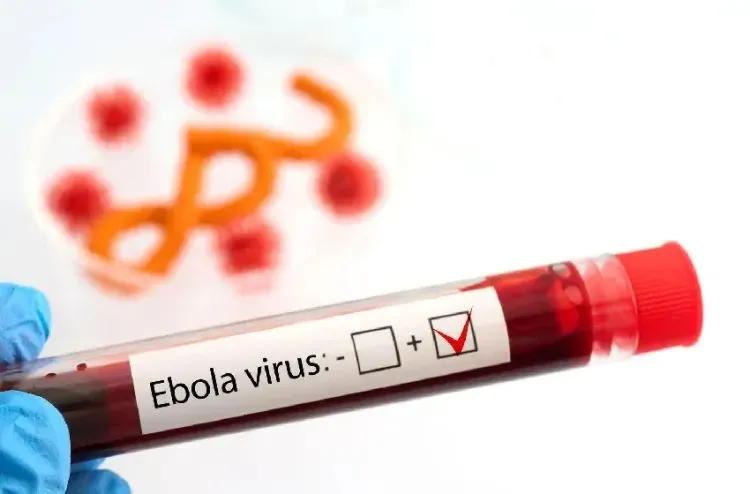 Washington Closes Its Doors to Citizens: A Health Exile in Kenya to Combat the Ebola Threat