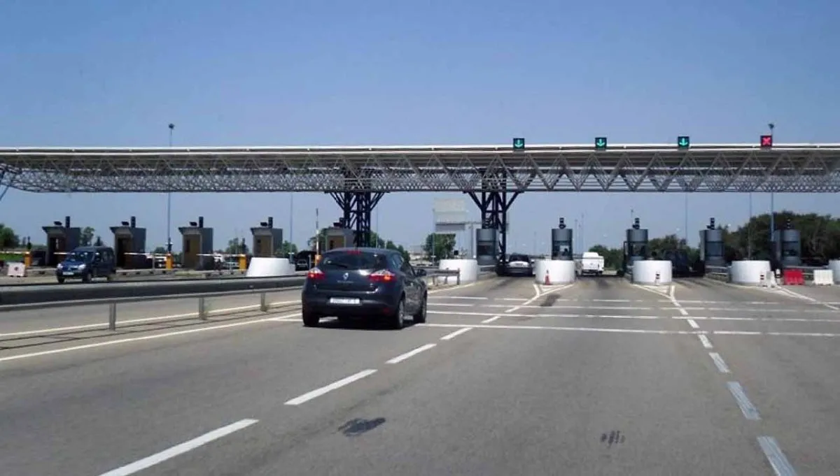 Moroccan Highway Safety: Court Ruling on Stray Animal Incidents