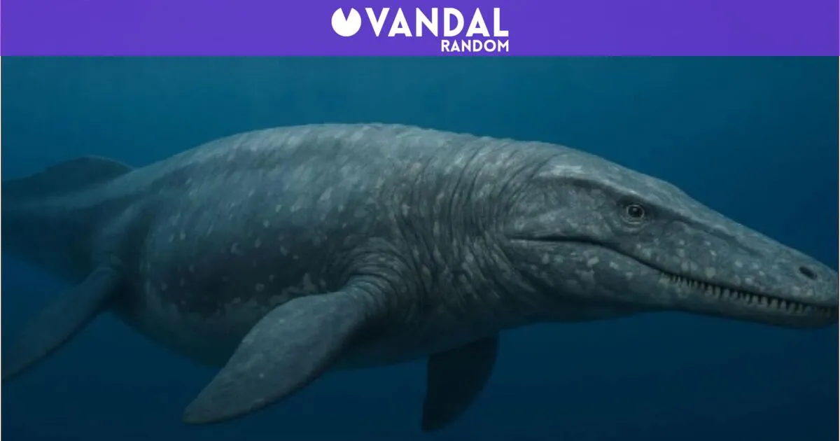 Revolutionary Marine Discovery in Morocco Challenges Existing Paleontological Beliefs