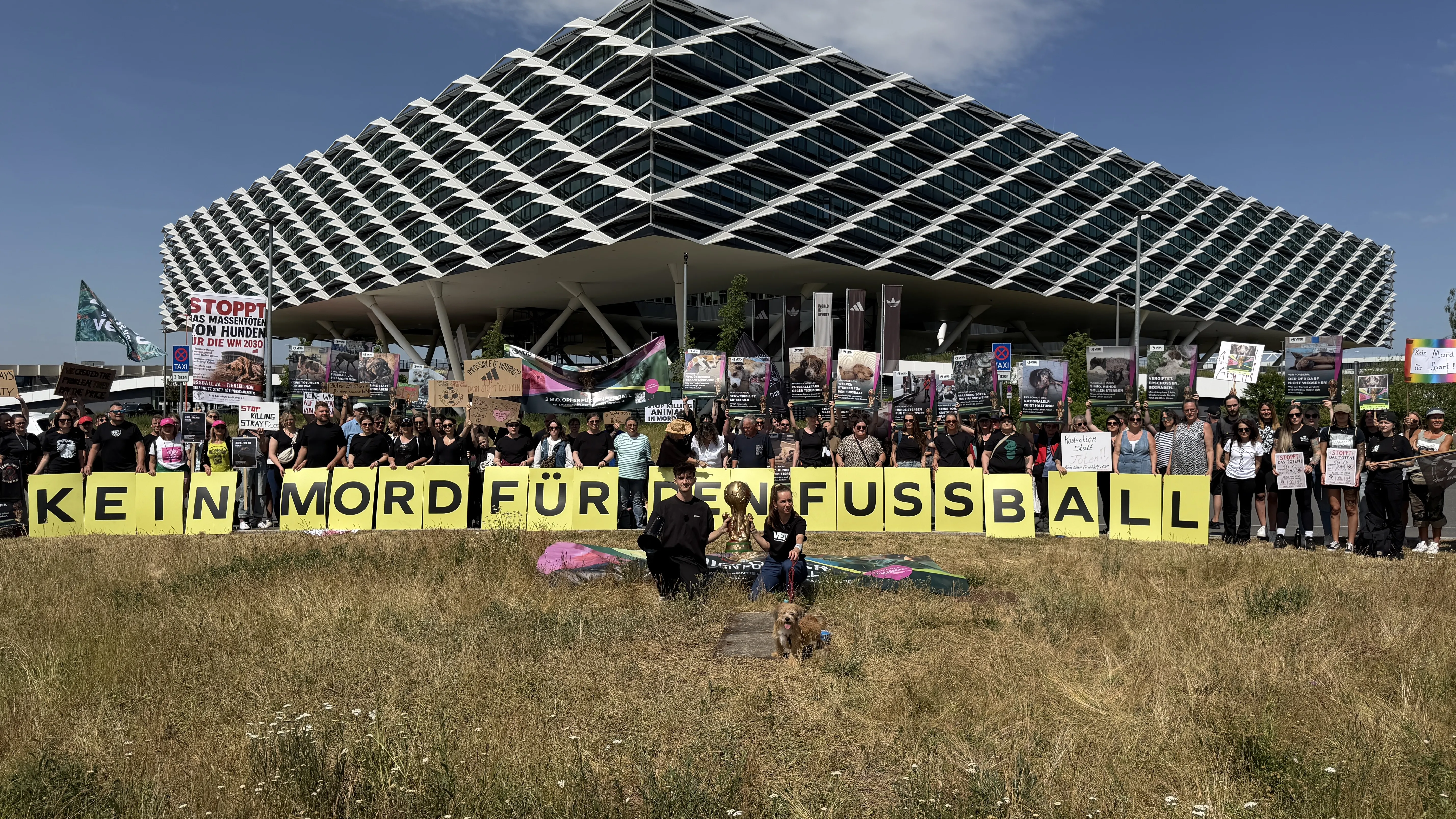 No Murder for Football: Protests Against Animal Cruelty in Morocco