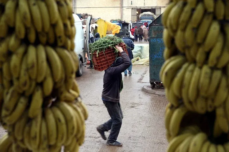Current State of Morocco's Wholesale Fruit and Vegetable Markets Amid Eid Al-Adha