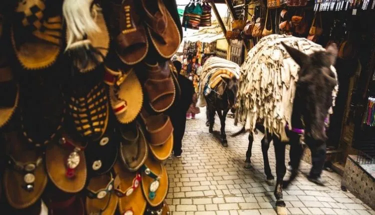 Significant Chaos in Leather Sales in Fes: Unregulated Markets Under Scrutiny