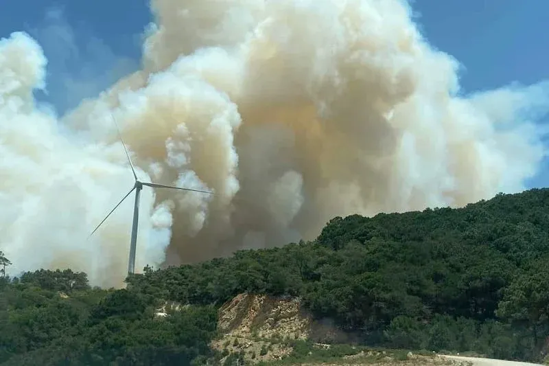 Morocco Faces Rising Temperatures and Heightened Fire Risks Amid Climate Concerns