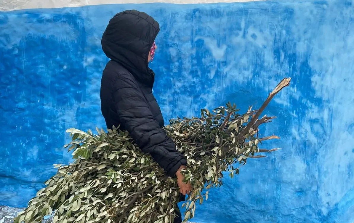 Experiencing Eid al-Adha: A Unique Celebration in Morocco