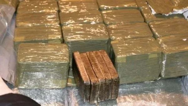 Major Drug Bust in Fes: 691 Kilograms of Cannabis Seized and Two Arrested