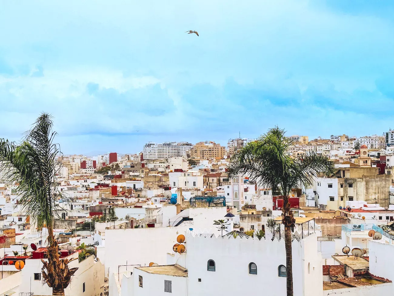 Tanger Solidifies Its Position as the Fourth Most Popular Tourist Destination in Q1 2026