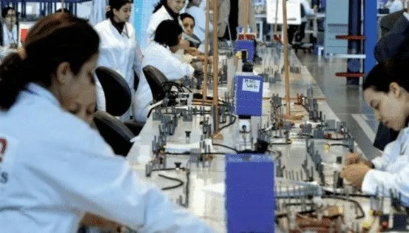 Over 99% of Moroccan Companies Fail to Access Workforce Training Support