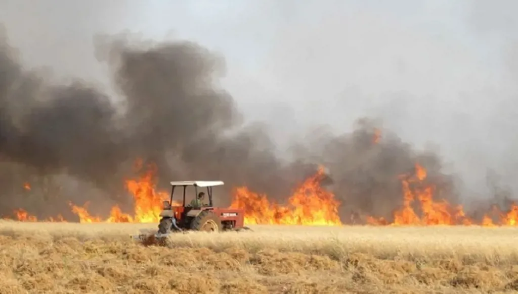 Fires Devastate Agricultural Crops in Morocco: Calls for Compensation and Investigation