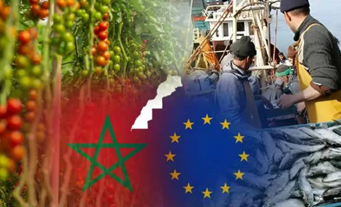 Morocco Boosts Agricultural Trade Surplus with EU Amid Shifting Export Dynamics