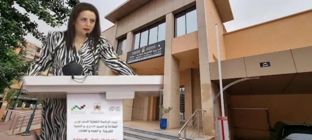 Internal Tensions Rise at Marrakech Safi Regional Agriculture Directorate Amid Allegations of Misconduct