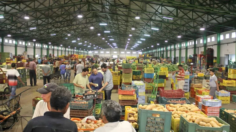 Court Rulings on Marrakech Wholesale Market Corruption Case