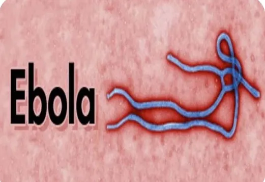 Marrakech Officials Deny Ebola Infection Reports