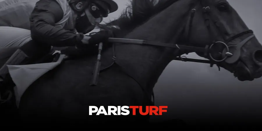 Upcoming Horse Race: Key Details and Participant Insights