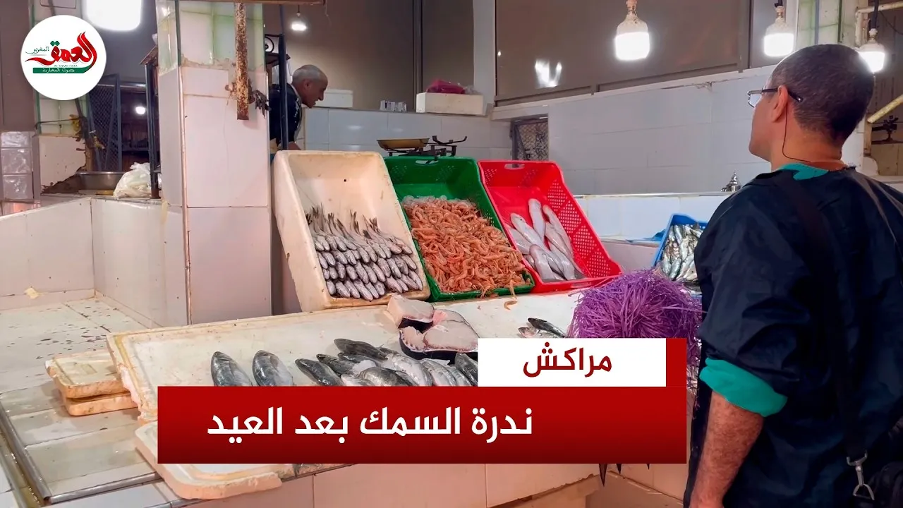 Marrakech Fish Market Faces Supply Challenges Amid Rising Demand