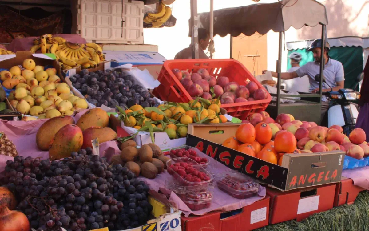 Dramatic Drop in Vegetable Prices in Morocco: A Temporary Relief or a Sign of Trouble?