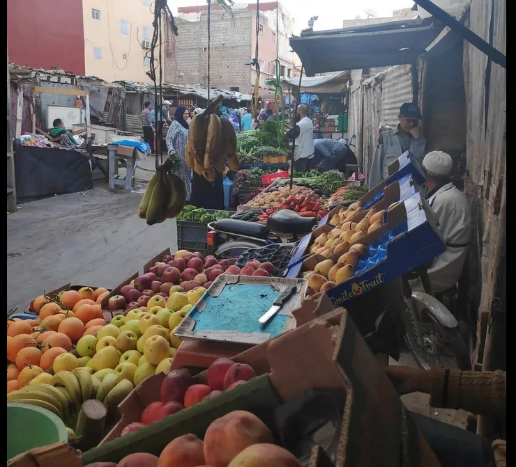 Socialist Team Addresses Growing Environmental Crisis in Agadir