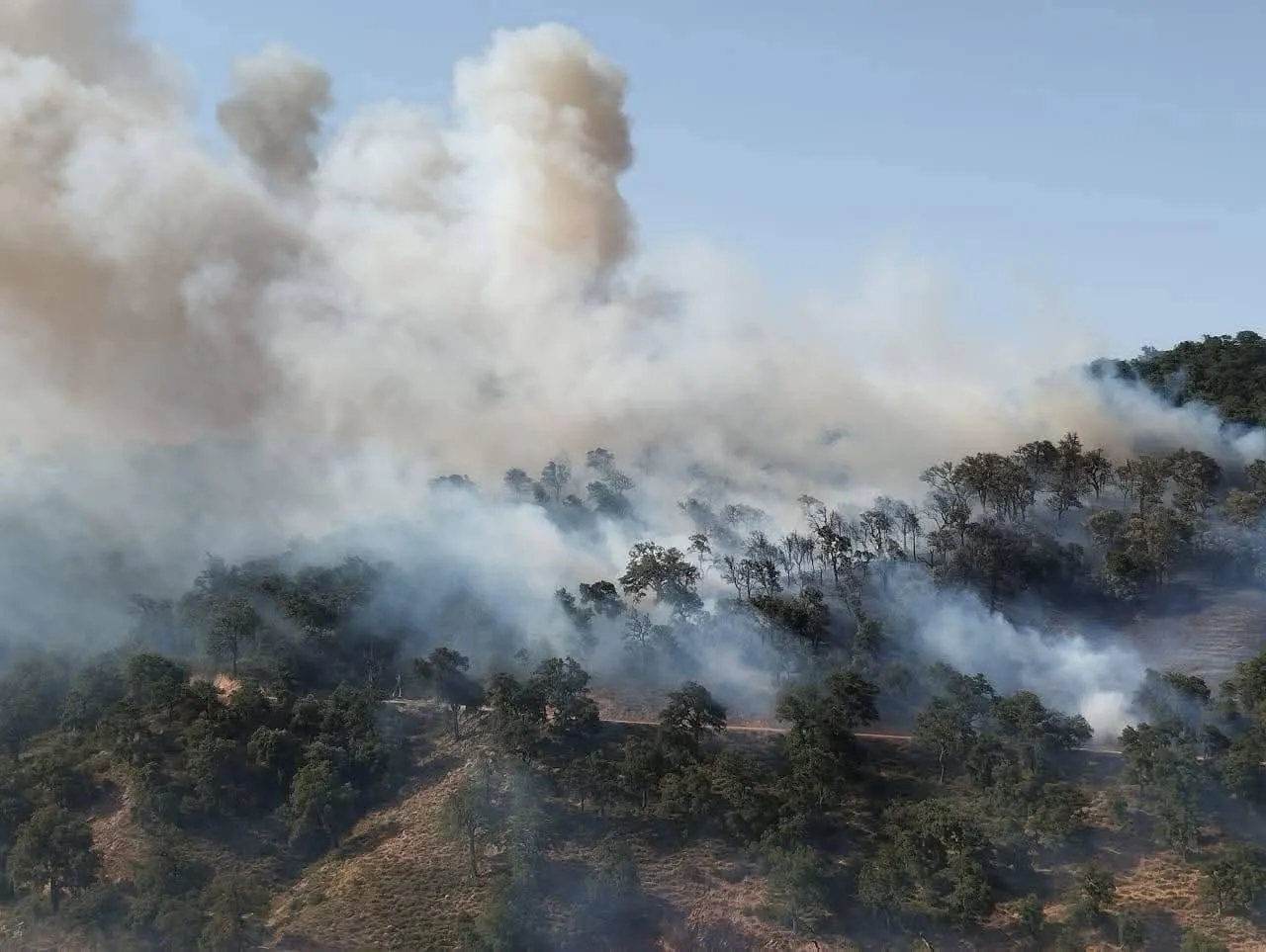 Massive Wildfire Erupts in Taza's Simiya Forest, Threatening Nearby Villages