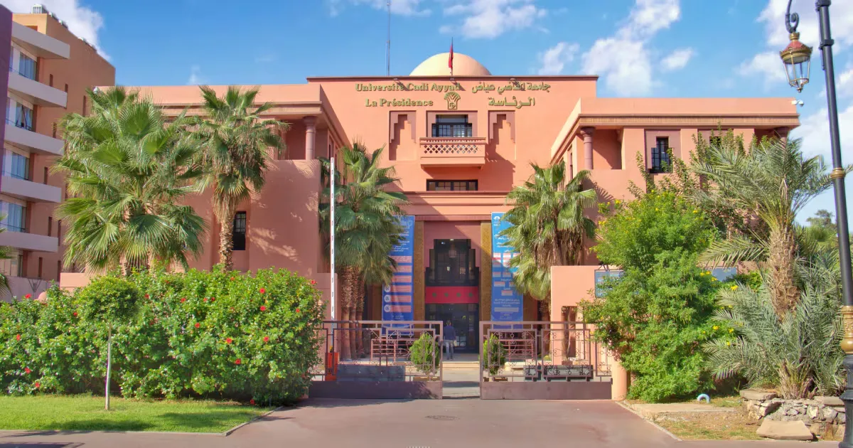 Sexual Coercion Scandal Rocks Cadi Ayyad University: Dean Dismissed