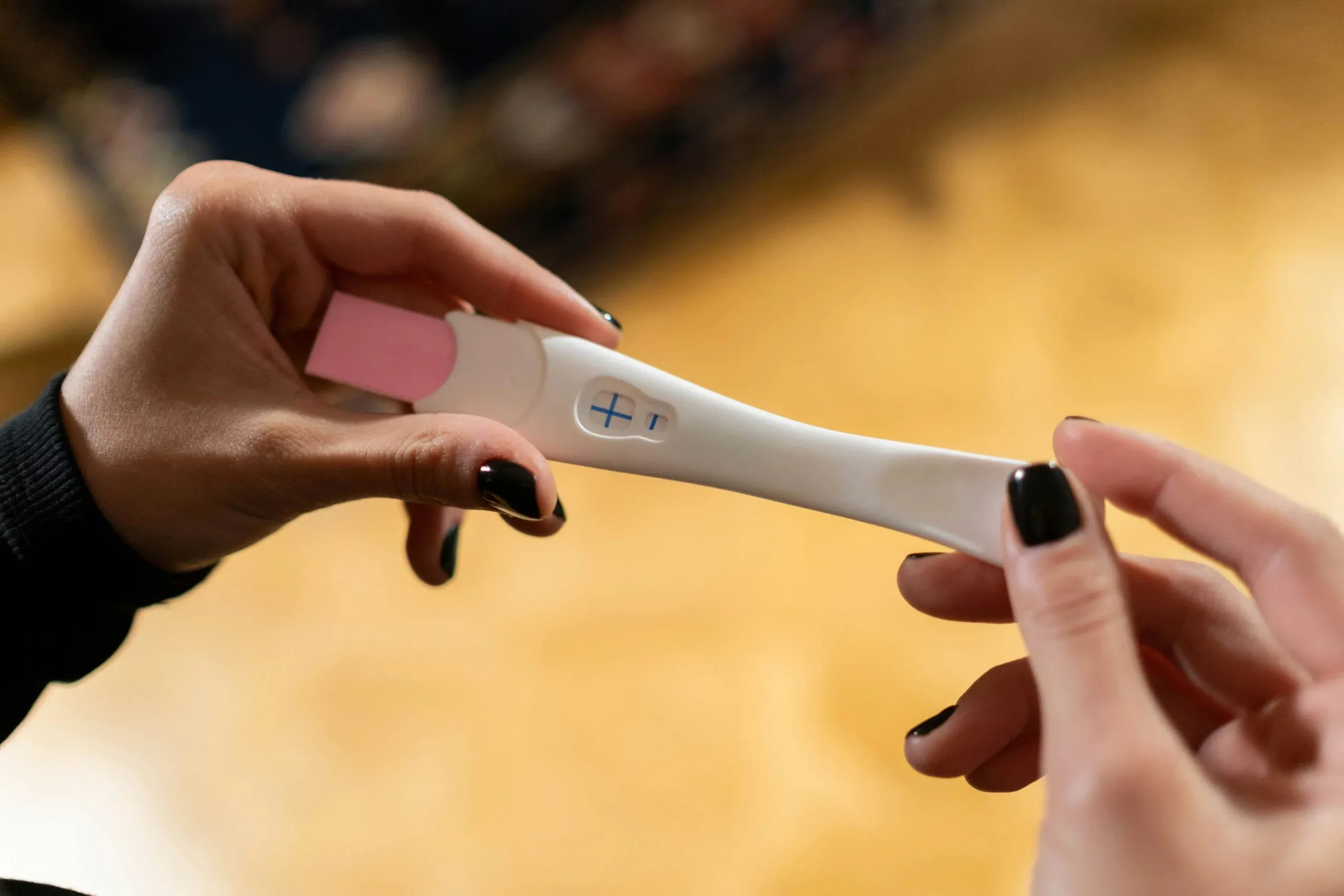 Demographic Shift in the Basque Country: Moroccan Women Lead Birth Increase